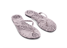 Load image into Gallery viewer, Indie Light Grey Python Print Sandal
